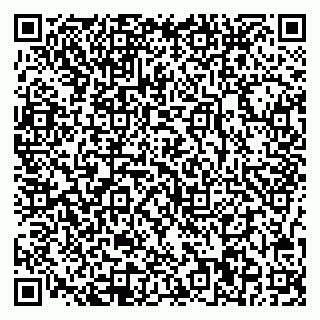 vCard 78007000399