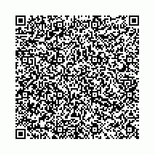 vCard 78011000038