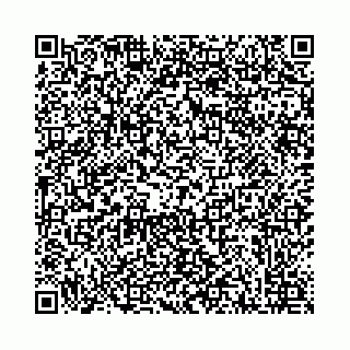 vCard 78011000039