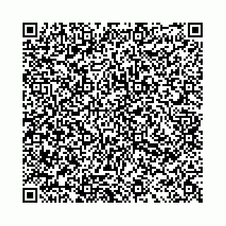 vCard 78011000139