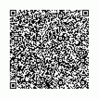 vCard 78011000215