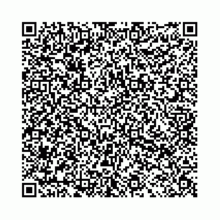 vCard 78011000380