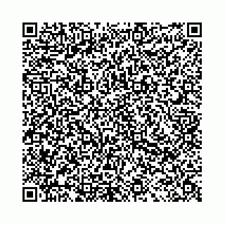 vCard 78011000399