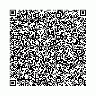 vCard 78011000539