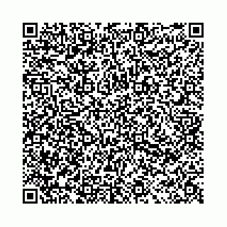 vCard 78011000739