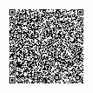 vCard 78011002039