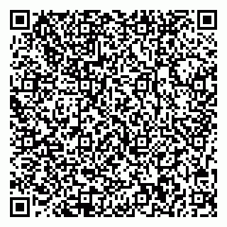 vCard 78013000022