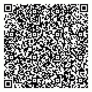 vCard 78013000139