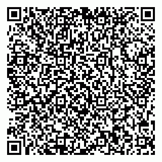 vCard 78013000413