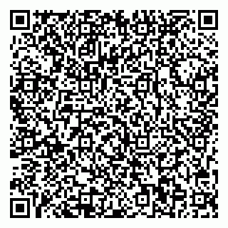 vCard 78013000489