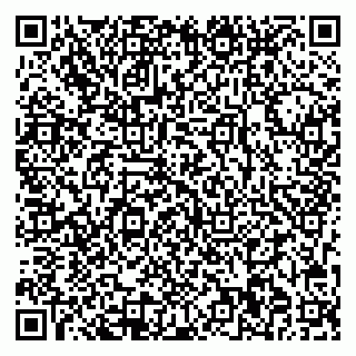 vCard 78013000511