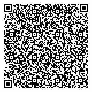 vCard 78013000613