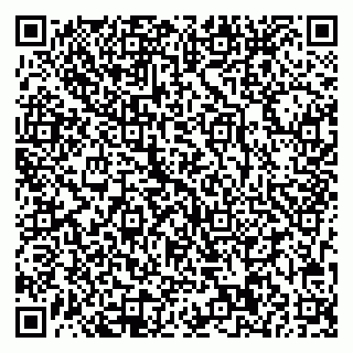 vCard 78013000656