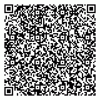 vCard 78013001739