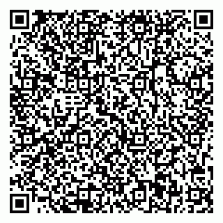 vCard 78013001839