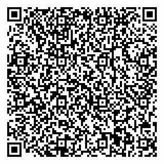 vCard 78013001939