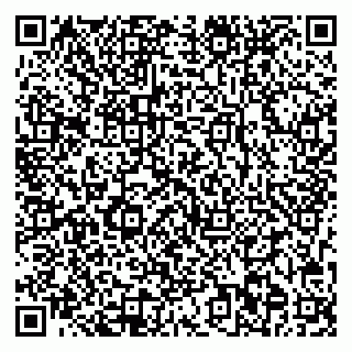vCard 78013002539