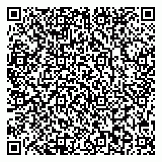 vCard 78013002739