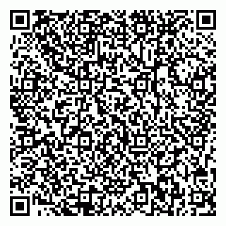vCard 78013002839
