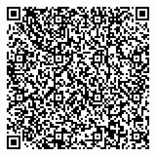 vCard 78013003039