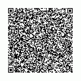 vCard 78021000013
