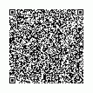 vCard 78021000081