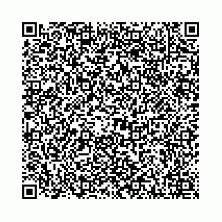vCard 78021000093