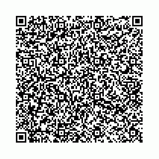 vCard 78021000151