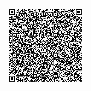 vCard 78021000297