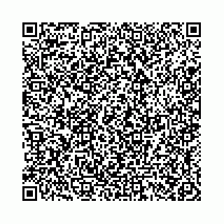 vCard 78021000395