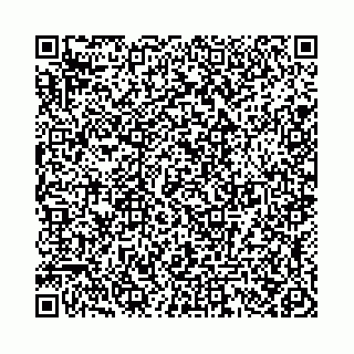 vCard 78021000399