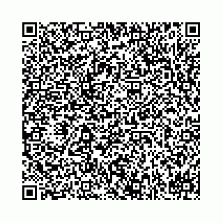 vCard 78021000410