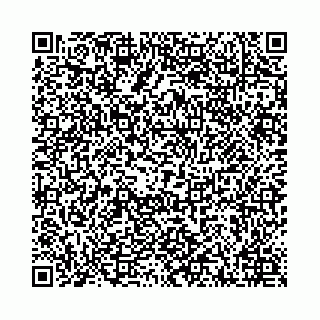 vCard 78021000493