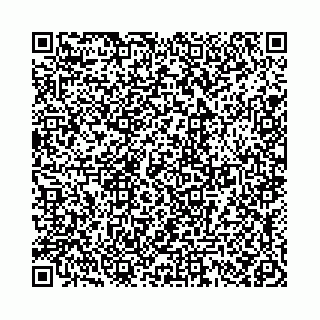 vCard 78021000530