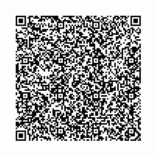 vCard 78021000873