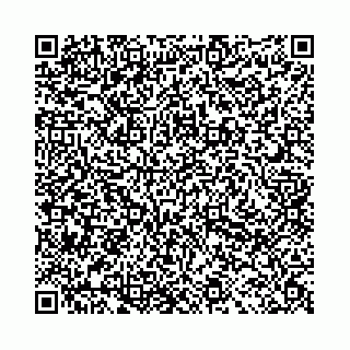 vCard 78021000881