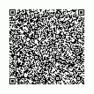 vCard 78021002573