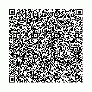 vCard 78021003294