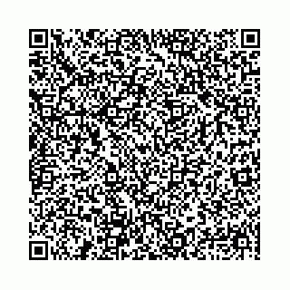vCard 78021003641