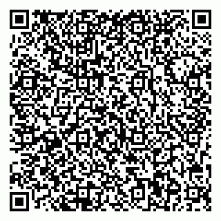 vCard 78023000739