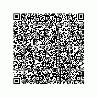 vCard 78024000215