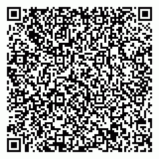 vCard 78025001027