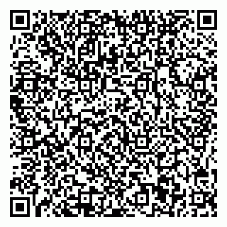 vCard 78025001028