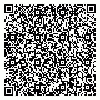 vCard 78025001029