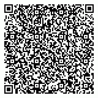 vCard 78025001031