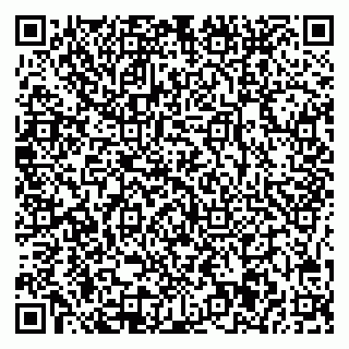 vCard 78025001032