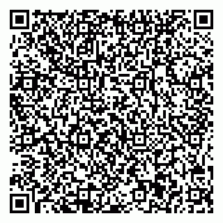 vCard 78025001040