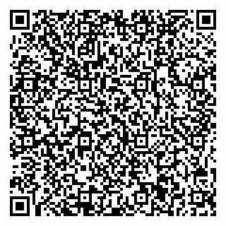 vCard 78025001081