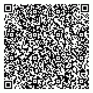 vCard 78025001271