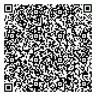 vCard 78025001335